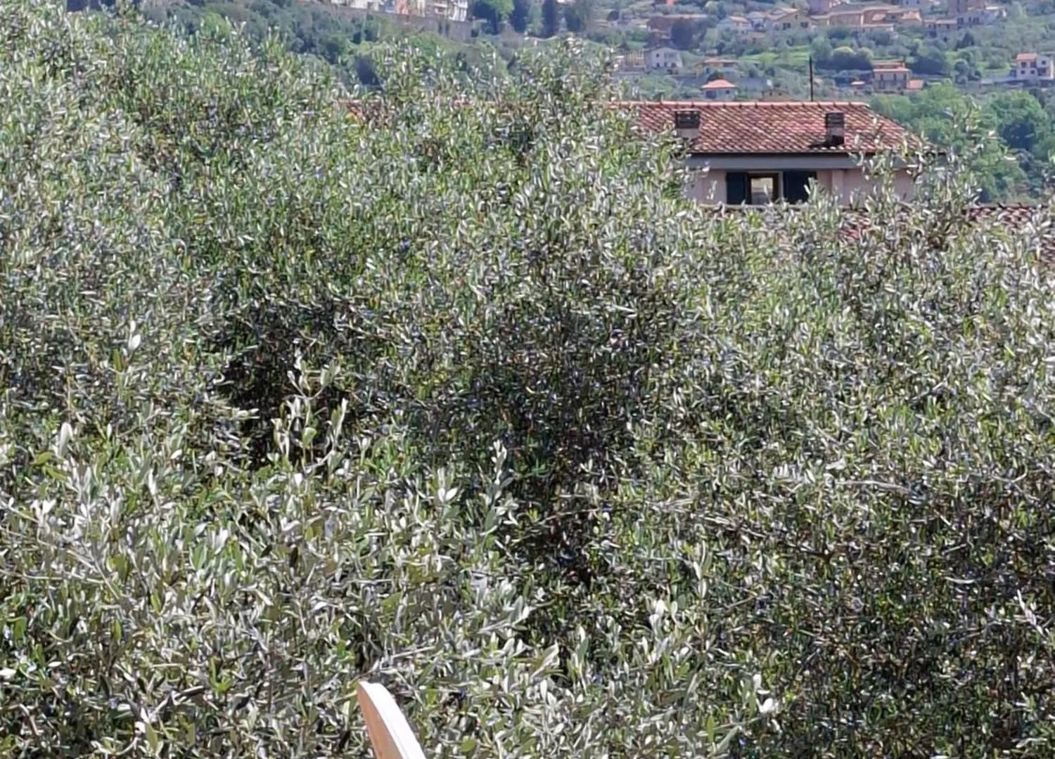 Grazioso Monolocale Apartment Albiano Magra
